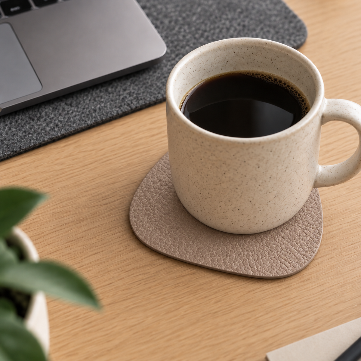 Premium Faux Leather Coasters (Pack of 4)