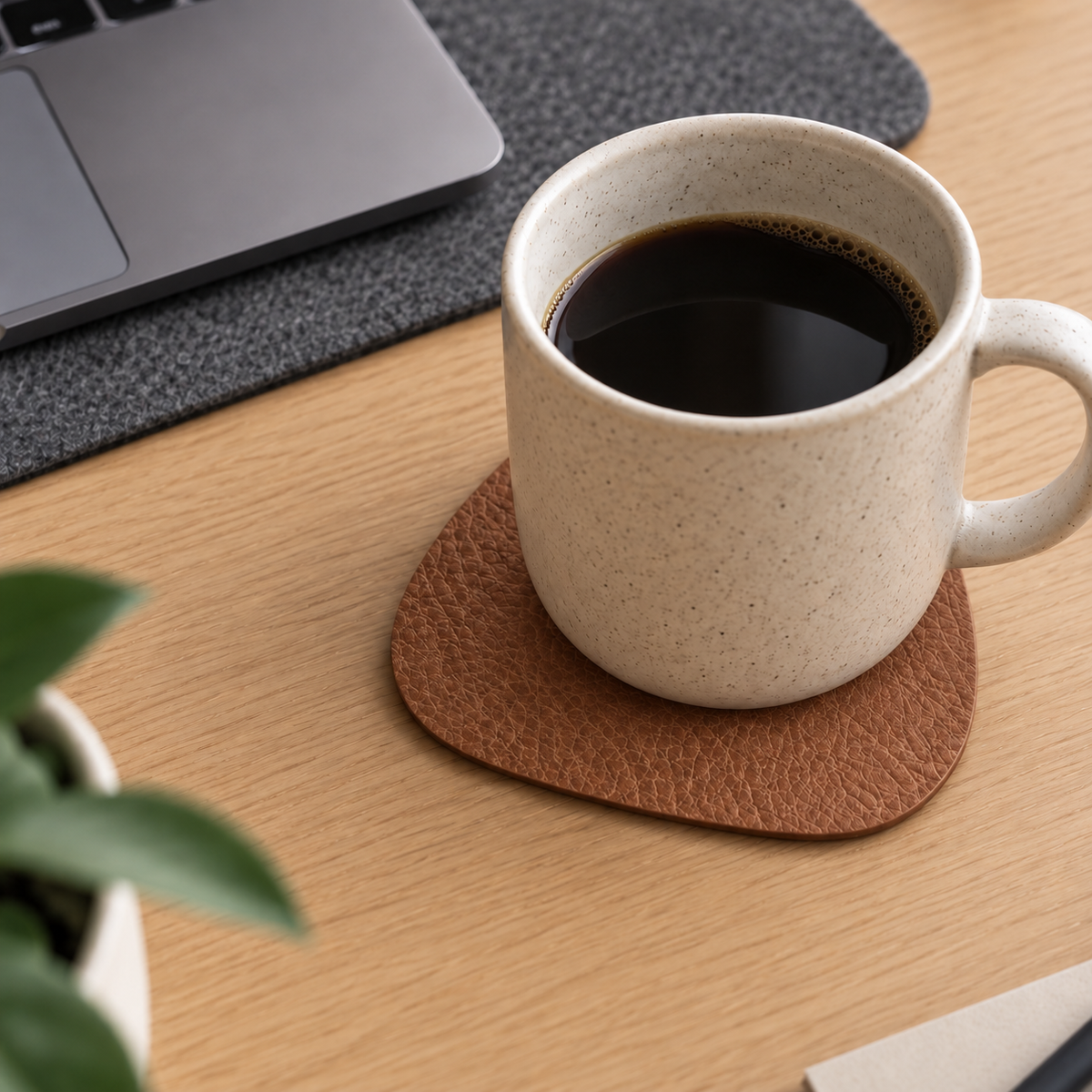 Premium Faux Leather Coasters (Pack of 4)