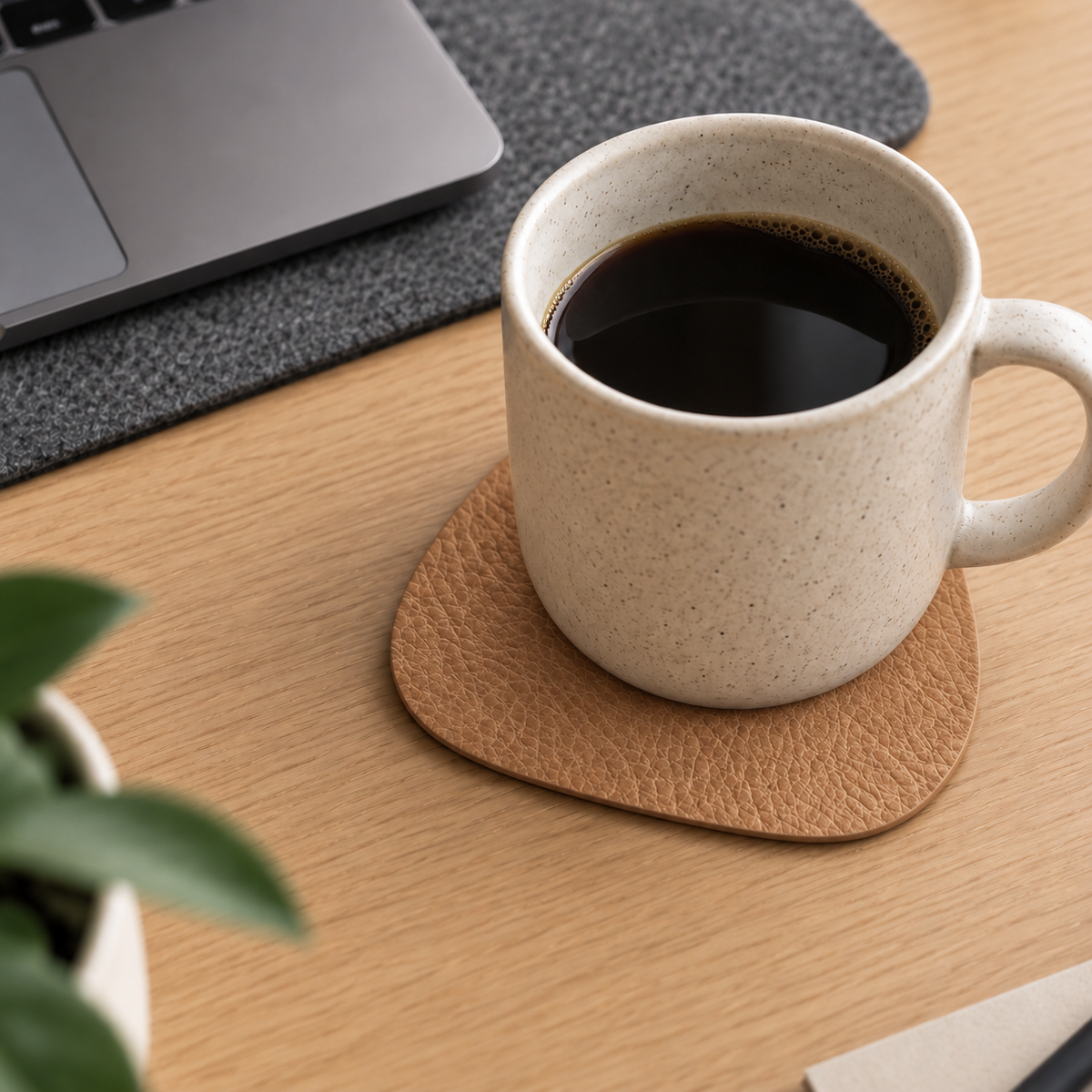 Premium Faux Leather Coasters (Pack of 4)